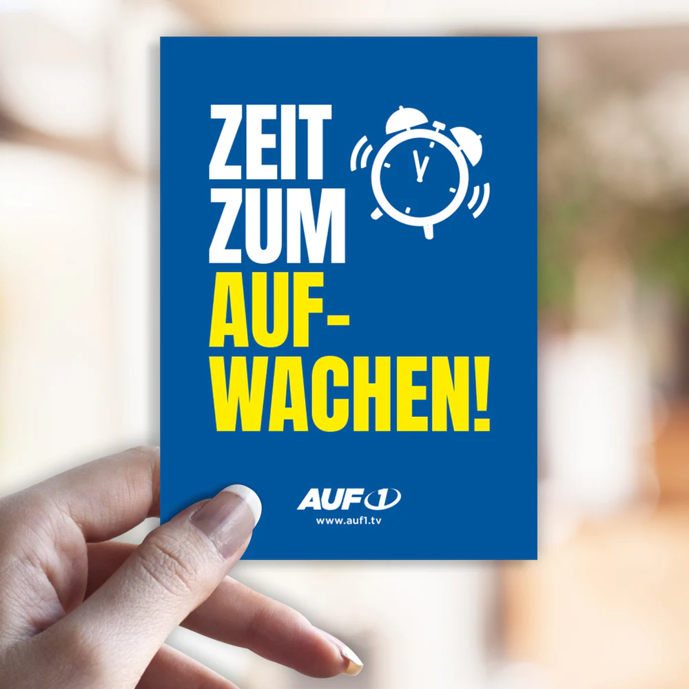 Vorschaubild 2